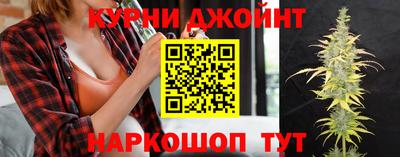 шишки Гусев
